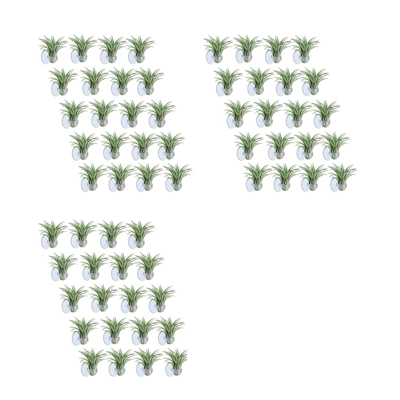 60 Pcs Air Plant Holder, Plant Pot Tillandsia Holder Air Plant Hanger With Suction Cup For Hanging (Plants Not Included)
60 Pcs Air Plant Holder, Plant Pot Tillandsia Holder Air Plant Hanger With Suction Cup For Hanging (Plants Not Included)