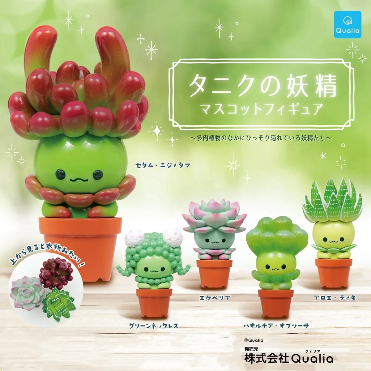 Original QUALIA Kawaii Gashapon Figure Cute Succulent Plants Elf Miniature Pot Cactus Capsule Toys Anime Figurine Doll Gift
Original QUALIA Kawaii Gashapon Figure Cute Succulent Plants Elf Miniature Pot Cactus Capsule Toys Anime Figurine Doll Gift