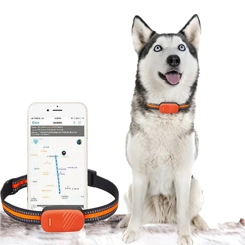 4G LTE GPS Tracker for Dogs Cats Real-Time Tracking Waterproof Long Battery Life
4G LTE GPS Tracker for Dogs Cats Real-Time Tracking Waterproof Long Battery Life
