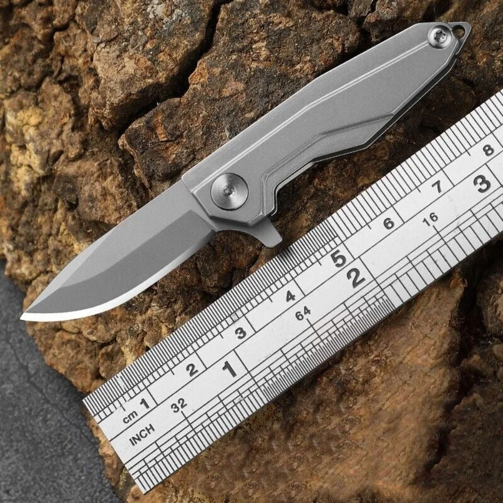 Mini All Steel Pocket Folding Blade Knife Outdoor Camping EDC Keychain Tool
Mini All Steel Pocket Folding Blade Knife Outdoor Camping EDC Keychain Tool