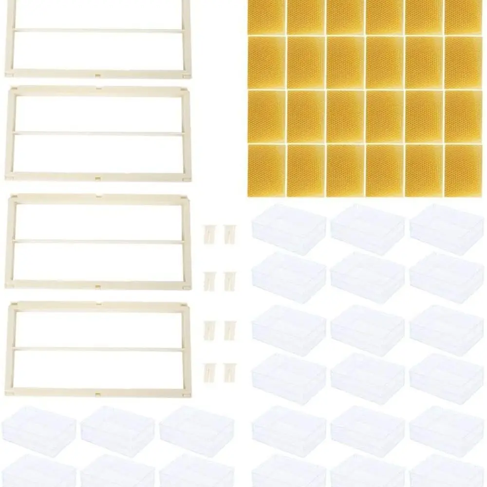Beekeeping Equipment Set: Plastic Honeycomb Frames and Hive Box for Beekeepers
Beekeeping Equipment Set: Plastic Honeycomb Frames and Hive Box for Beekeepers