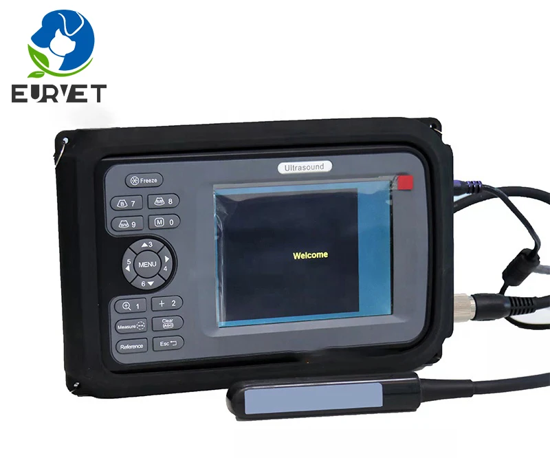 EUR VET Cheap Price Profession Portable Veterinary Ultrasound Scanners With Probes For Clinic Use Veterinary Equipment
EUR VET Cheap Price Profession Portable Veterinary Ultrasound Scanners With Probes For Clinic Use Veterinary Equipment