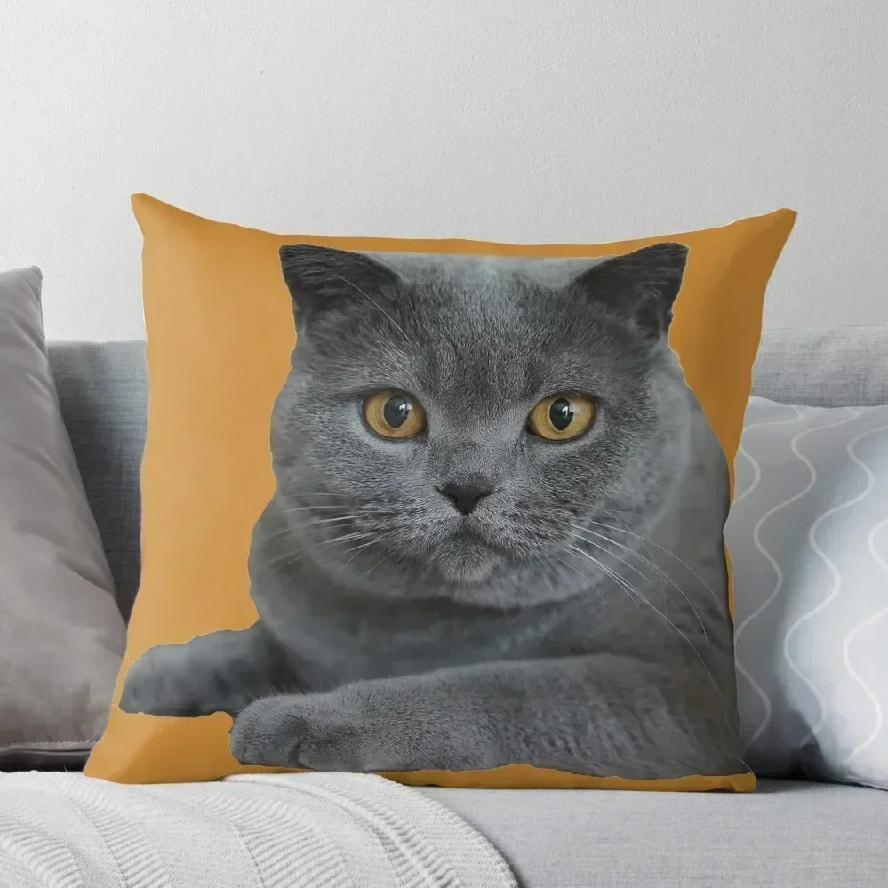 British Blue Shorthair Cat Face Portrait Profile Throw Pillow Sitting Cushion Pillows Aesthetic Couch Cushions pillow
British Blue Shorthair Cat Face Portrait Profile Throw Pillow Sitting Cushion Pillows Aesthetic Couch Cushions pillow