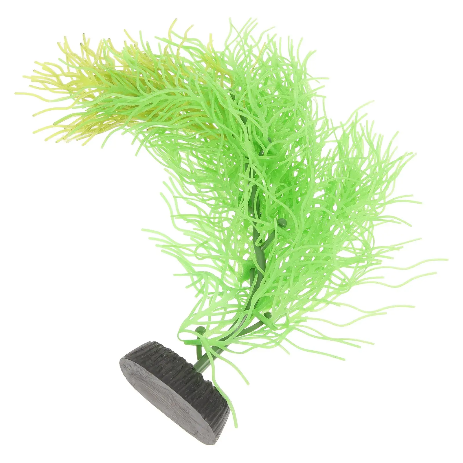 Artificial Simulation Hornwort Ornament Aquarium Landscapes Silicone Plastic Decor Plants
Artificial Simulation Hornwort Ornament Aquarium Landscapes Silicone Plastic Decor Plants