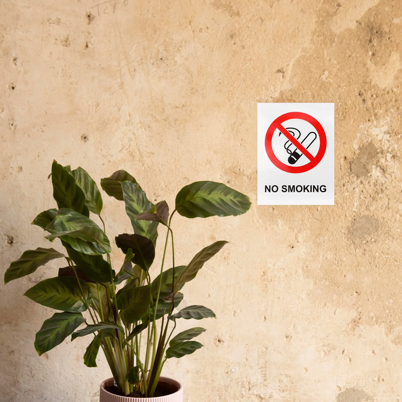 6Pcs No Smoking Sticker Visible Anti Smoking Vinyl Decal for Walls Doors Desks Cars Offices Stores Hospitals Clean
6Pcs No Smoking Sticker Visible Anti Smoking Vinyl Decal for Walls Doors Desks Cars Offices Stores Hospitals Clean
