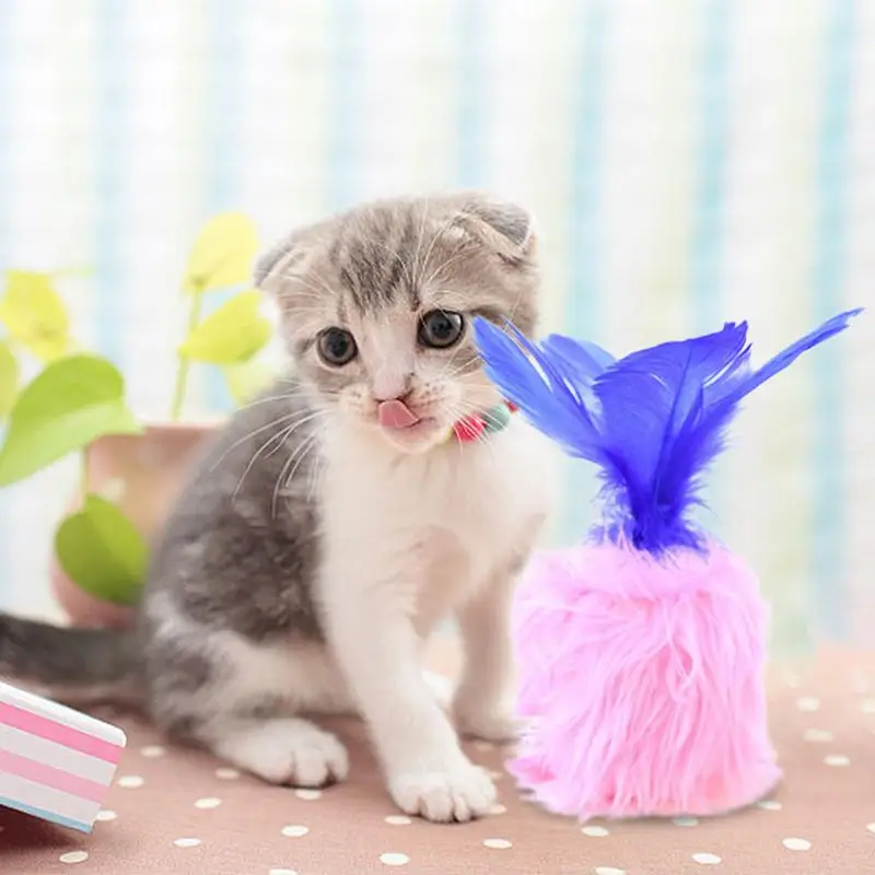 Cat Chew Toys Plush Catnip Toys Entertaining Interactive Cat Toys Catnip Toys For Cats Cat Teething Toys For Cat Exercise
Cat Chew Toys Plush Catnip Toys Entertaining Interactive Cat Toys Catnip Toys For Cats Cat Teething Toys For Cat Exercise