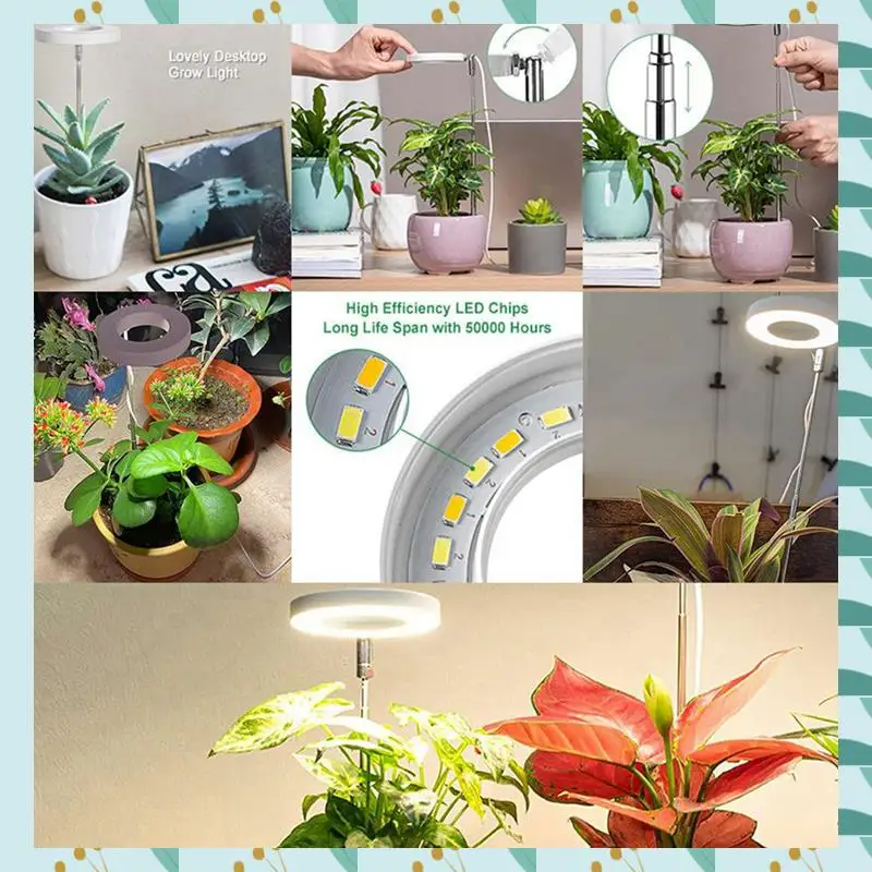 A71P 2X Grow Light, Spectrum LED Plant Light For Indoor Plants,Height Adjustable Grow Light For Flowers & Bonsai Plant Growth
A71P 2X Grow Light, Spectrum LED Plant Light For Indoor Plants,Height Adjustable Grow Light For Flowers & Bonsai Plant Growth