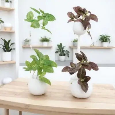 4pcs Greenery Plant Stems Artificial Green Indoor Table Decoration Living Room Balcony Faux Greenery Simulated Plants Plastic
4pcs Greenery Plant Stems Artificial Green Indoor Table Decoration Living Room Balcony Faux Greenery Simulated Plants Plastic