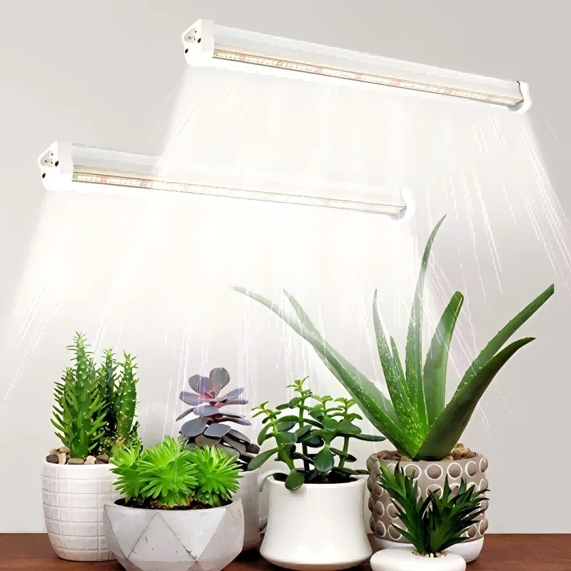 T5 Led Planting Light, 5000K Full-Spectrum White Planting Light, Suitable for the Germination of Greenhouse Succulent Seeds
T5 Led Planting Light, 5000K Full-Spectrum White Planting Light, Suitable for the Germination of Greenhouse Succulent Seeds