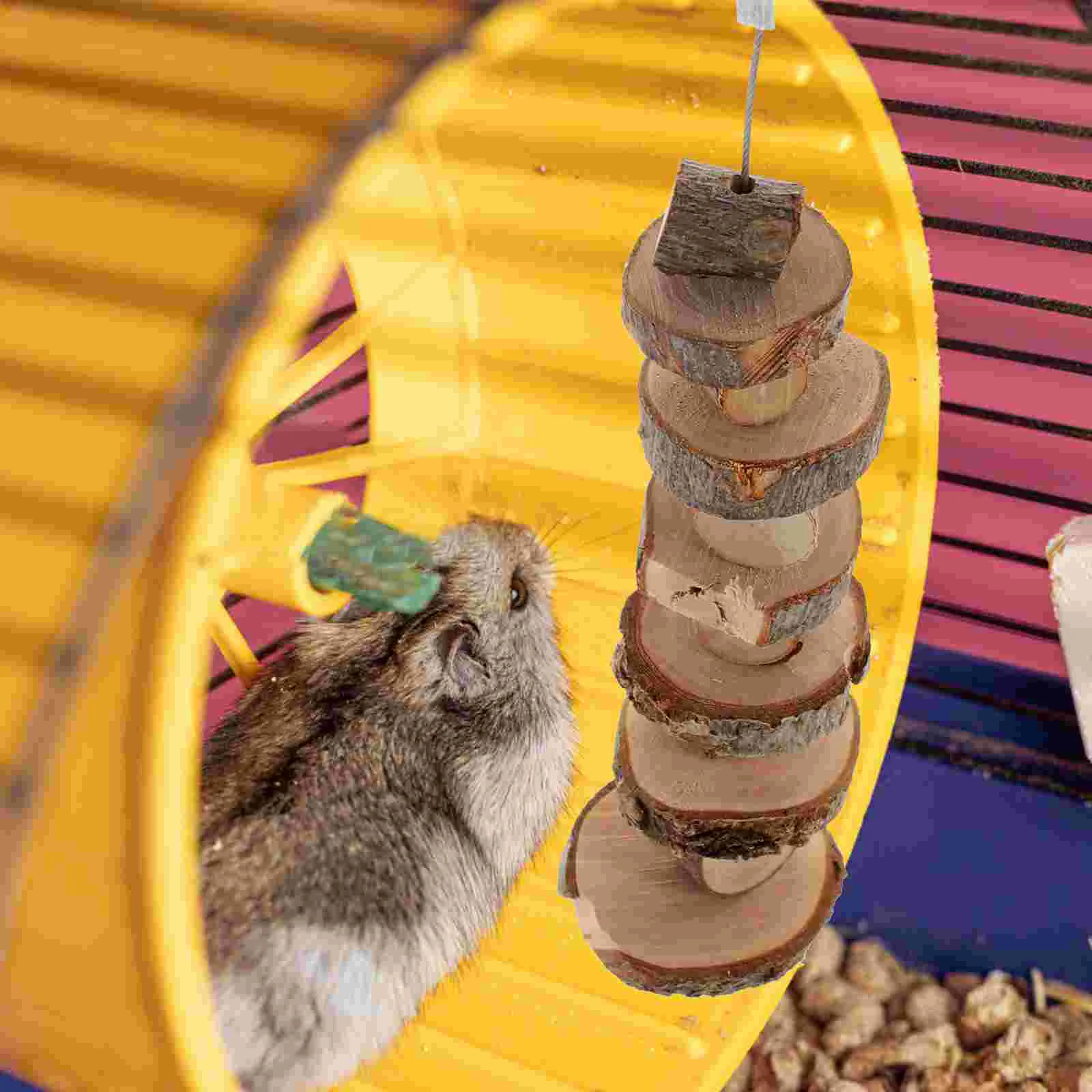Natural Wood Guinea Pig Toys Teeth Chewable Tablets Hamster Snacks Bite Small Pet Molar Hanging Toy Dental
Natural Wood Guinea Pig Toys Teeth Chewable Tablets Hamster Snacks Bite Small Pet Molar Hanging Toy Dental