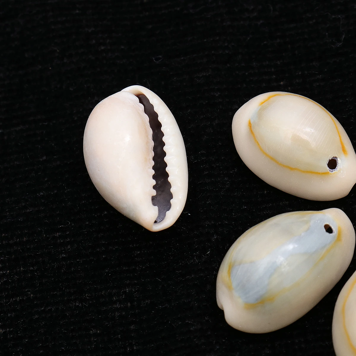 50 Pcs DIY Shell Pendant Seashells Natural Hanging Decoration Conch Snail Earring Necklace Decorate
50 Pcs DIY Shell Pendant Seashells Natural Hanging Decoration Conch Snail Earring Necklace Decorate