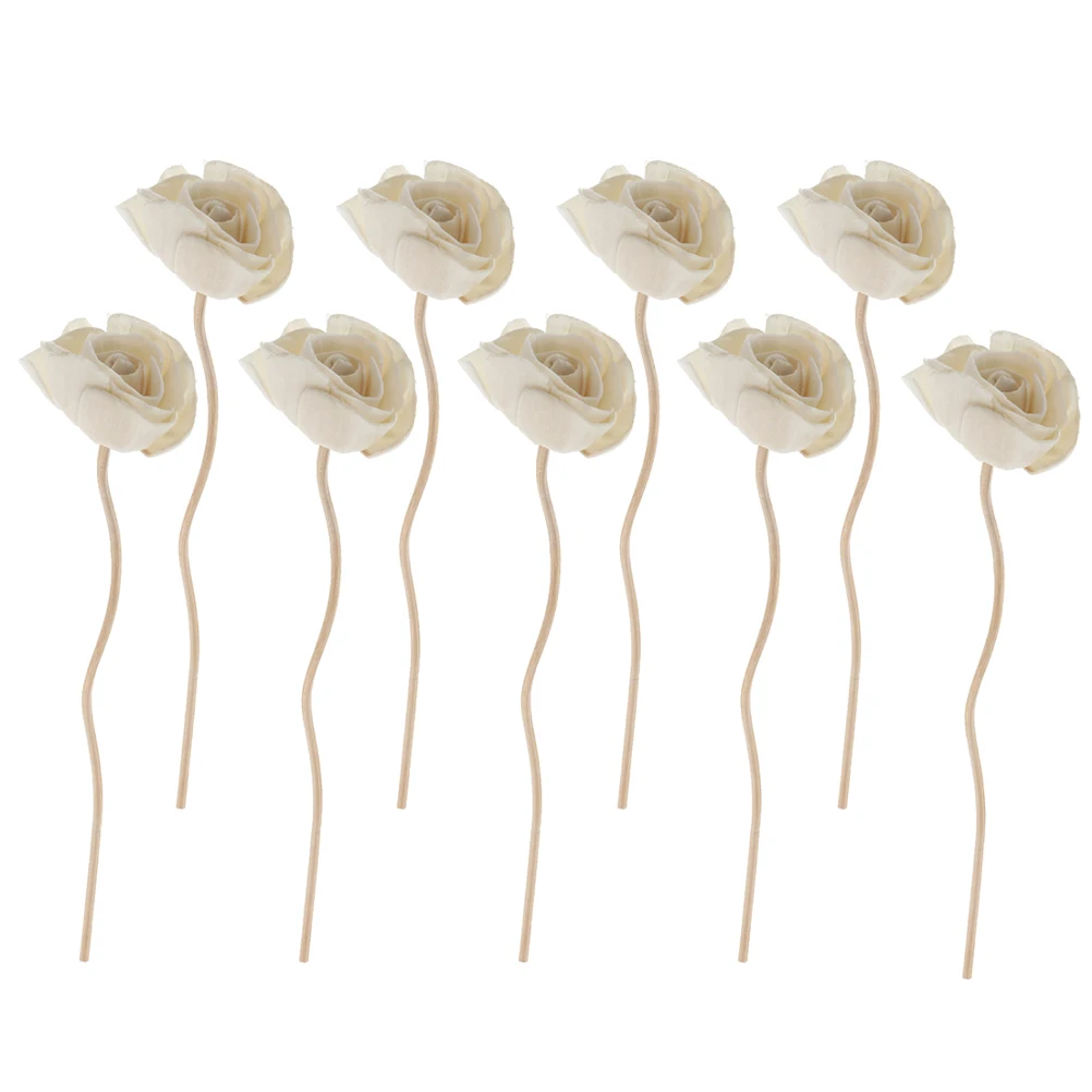 9 Pcs Rattan Diffuser Sticks Aromatherapy Dry Flowers Essential Oil Fragrance Home Decor Gifts Wooden Sticks
9 Pcs Rattan Diffuser Sticks Aromatherapy Dry Flowers Essential Oil Fragrance Home Decor Gifts Wooden Sticks