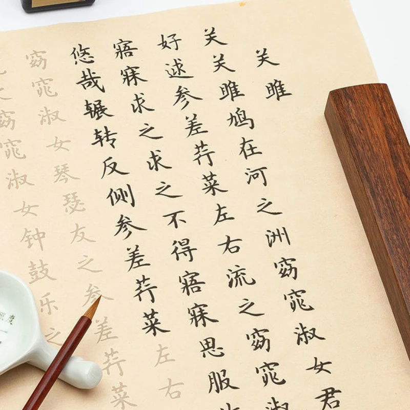 Classic Poetry Copybook Small Regular Script Calligraphy Brush Copybook Half Ripe Xuan Paper Brush Calligraphy Copybook Quaderno
Classic Poetry Copybook Small Regular Script Calligraphy Brush Copybook Half Ripe Xuan Paper Brush Calligraphy Copybook Quaderno