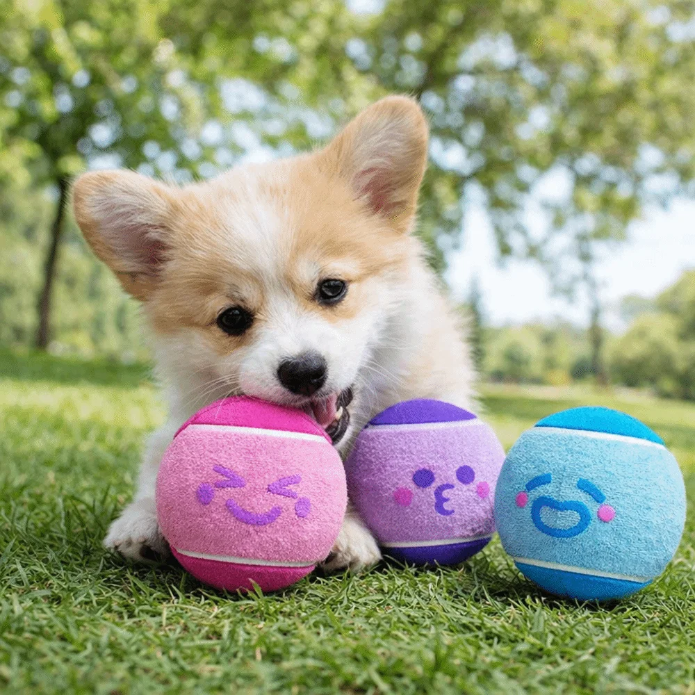 3 pieces Elastic Pet Tennis Ball Eco Friendly Squeaky Sound Dog Chew Toy Color Blocked Rubber Pet Bouncy Ball Outdoor Play
3 pieces Elastic Pet Tennis Ball Eco Friendly Squeaky Sound Dog Chew Toy Color Blocked Rubber Pet Bouncy Ball Outdoor Play
