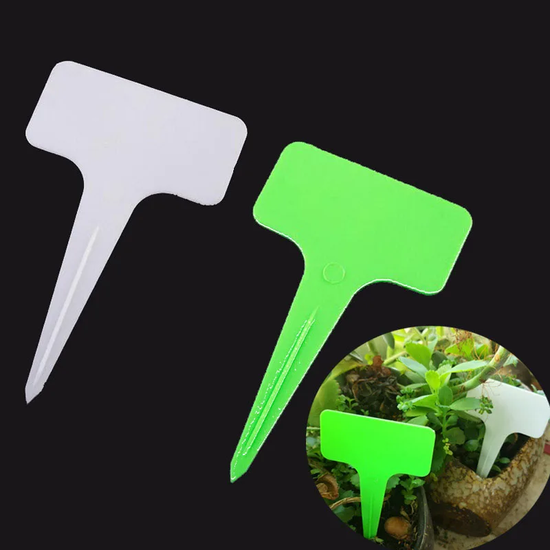 Водонепроницаемые этикетки для садовых растений, цветочные детские цветочные бирки, садовые украшения, пластиковый белый, зеленый, Т-образный маркер C1
Водонепроницаемые этикетки для садовых растений, цветочные детские цветочные бирки, садовые украшения, пластиковый белый, зеленый, Т-образный маркер C1