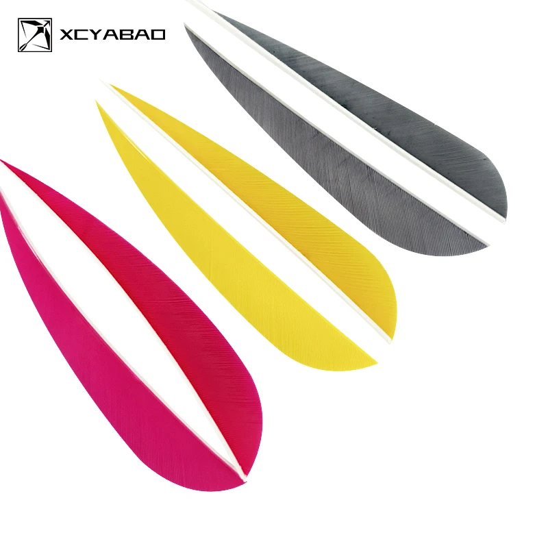 100Pcs Archery Arrow Feather Fletching 5 Inch Parabolic Real Turkey Vanes for Carbon Wooden Arrow Shaft Feathers Accessories
100Pcs Archery Arrow Feather Fletching 5 Inch Parabolic Real Turkey Vanes for Carbon Wooden Arrow Shaft Feathers Accessories