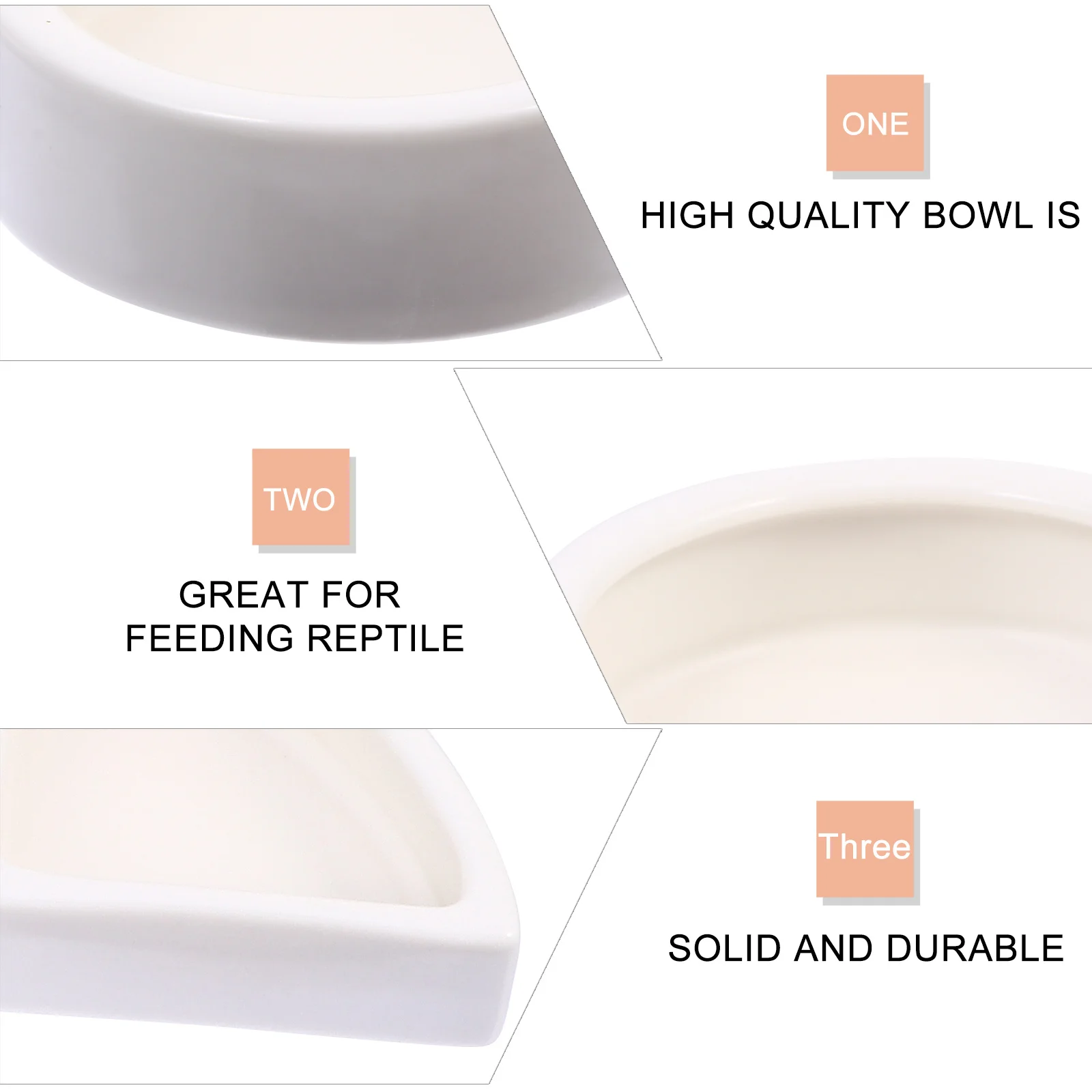 4 Pcs Ceramic Pet Bowl Reptile Feeder Dragon Beard Dish Lizard Feeding Water Food Worm Gecko
4 Pcs Ceramic Pet Bowl Reptile Feeder Dragon Beard Dish Lizard Feeding Water Food Worm Gecko