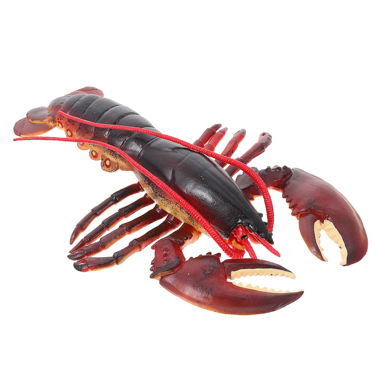 Fun Realistic Lobster Figure Marine Creature Craft for Kids Educational Sea Animal Simulation Natural Visual Sensory Learning
Fun Realistic Lobster Figure Marine Creature Craft for Kids Educational Sea Animal Simulation Natural Visual Sensory Learning