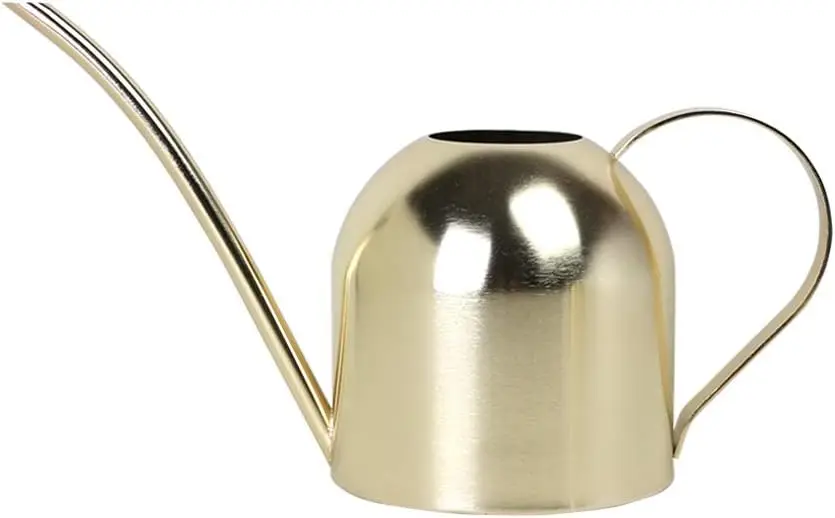 Stainless Steel Watering Can for Indoor Plants, 30 oz Gold Long Spout Garden Waterer
Stainless Steel Watering Can for Indoor Plants, 30 oz Gold Long Spout Garden Waterer