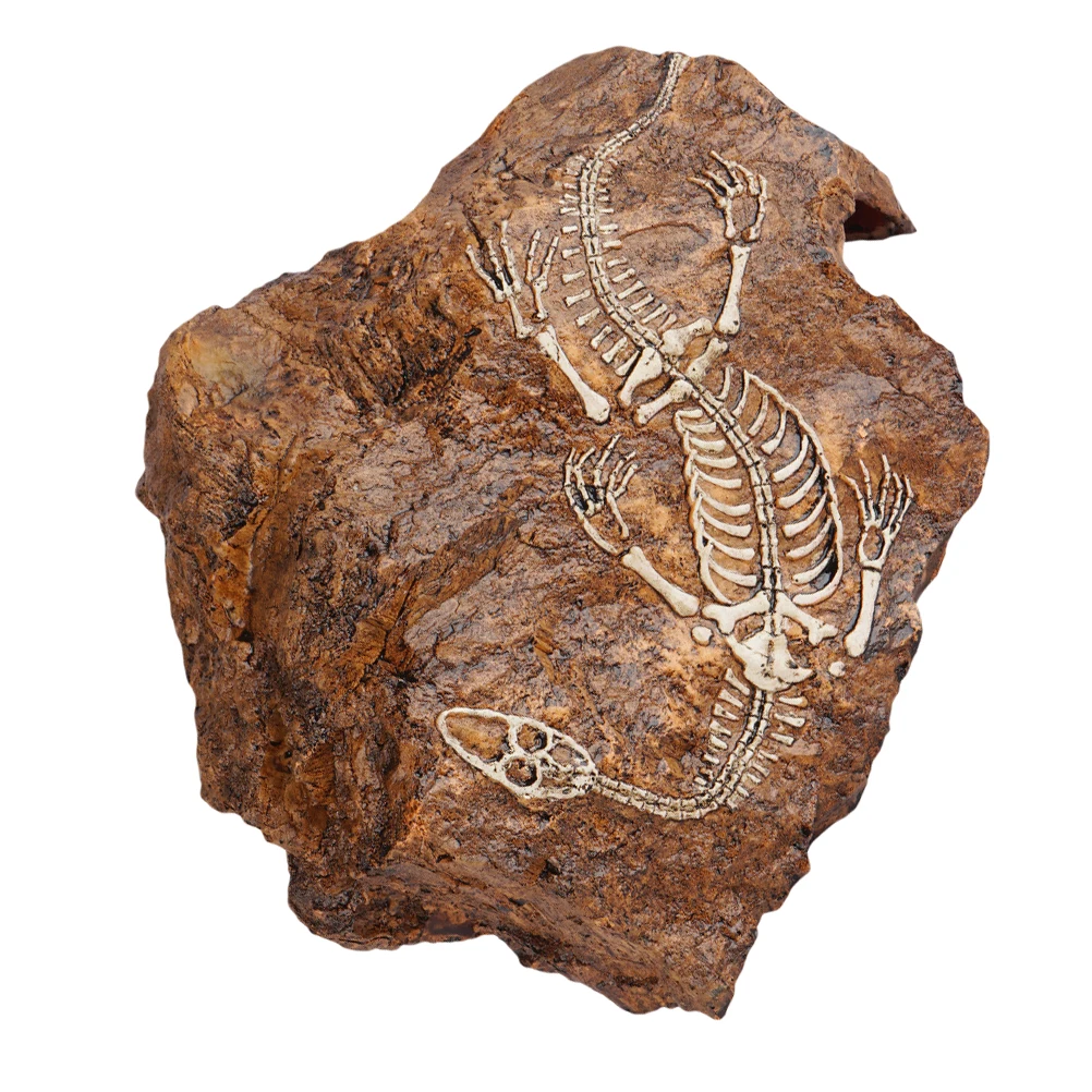 1Pc Realistic Aquarium Decoration Lifelike Artificial Skeleton Stone Resin Craft Ornament For Fish Tank
1Pc Realistic Aquarium Decoration Lifelike Artificial Skeleton Stone Resin Craft Ornament For Fish Tank