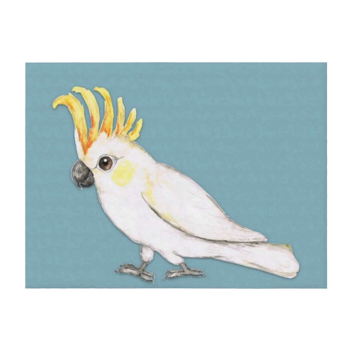 Sulphur crested cockatoo Throw Blanket Personalized Gift Plaid on the sofa Winter beds Sofas Blankets
Sulphur crested cockatoo Throw Blanket Personalized Gift Plaid on the sofa Winter beds Sofas Blankets