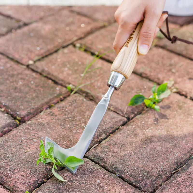 Gardening Forest Stainless Steel Weed Knife Outdoor Weed Cleaning Artifact Wall Brick Crack Special
Gardening Forest Stainless Steel Weed Knife Outdoor Weed Cleaning Artifact Wall Brick Crack Special