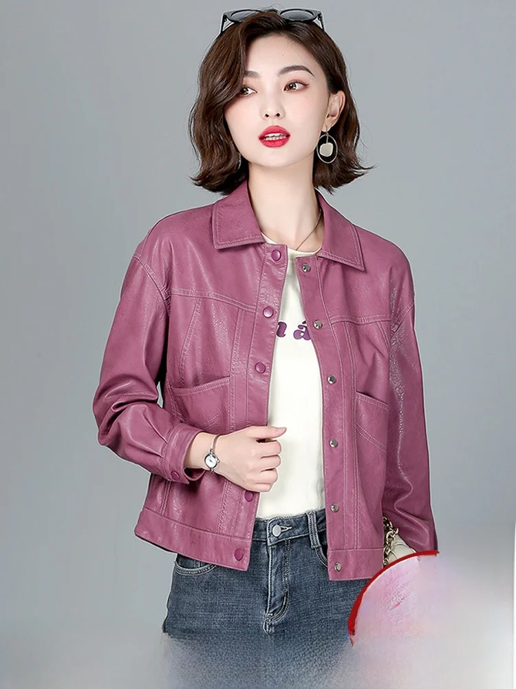 Ning Genuine Leather Jacket Women's Short Style 2026 Spring Autumn Sheepskin Coat Loose Korean Version Outerwear
Ning Genuine Leather Jacket Women's Short Style 2026 Spring Autumn Sheepskin Coat Loose Korean Version Outerwear