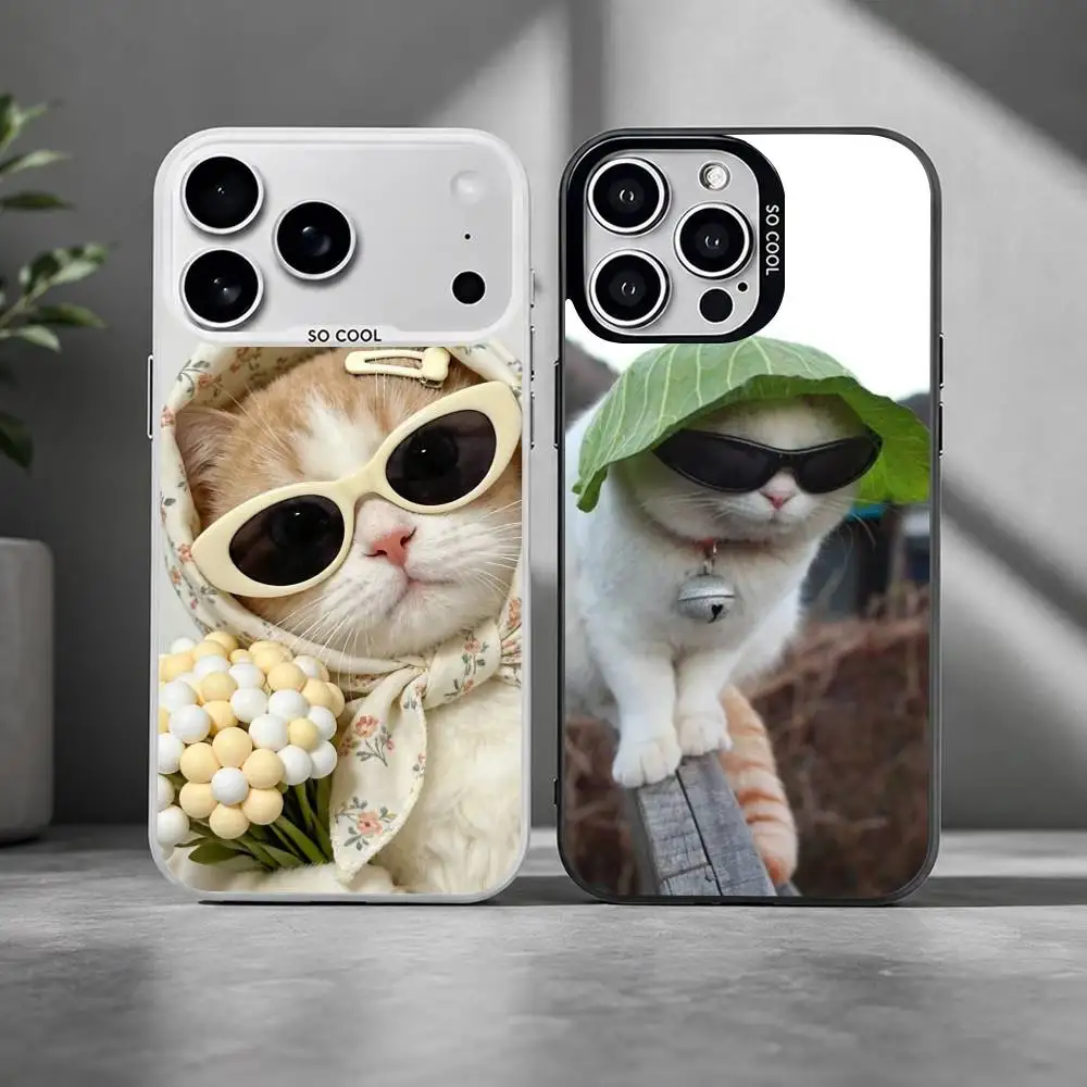 cute-warm-cat Phone Case For iPhone 17,16,15,14,13,12,11 Plus,Pro Max,XS,Colored Silver Plated Inside Cover
cute-warm-cat Phone Case For iPhone 17,16,15,14,13,12,11 Plus,Pro Max,XS,Colored Silver Plated Inside Cover