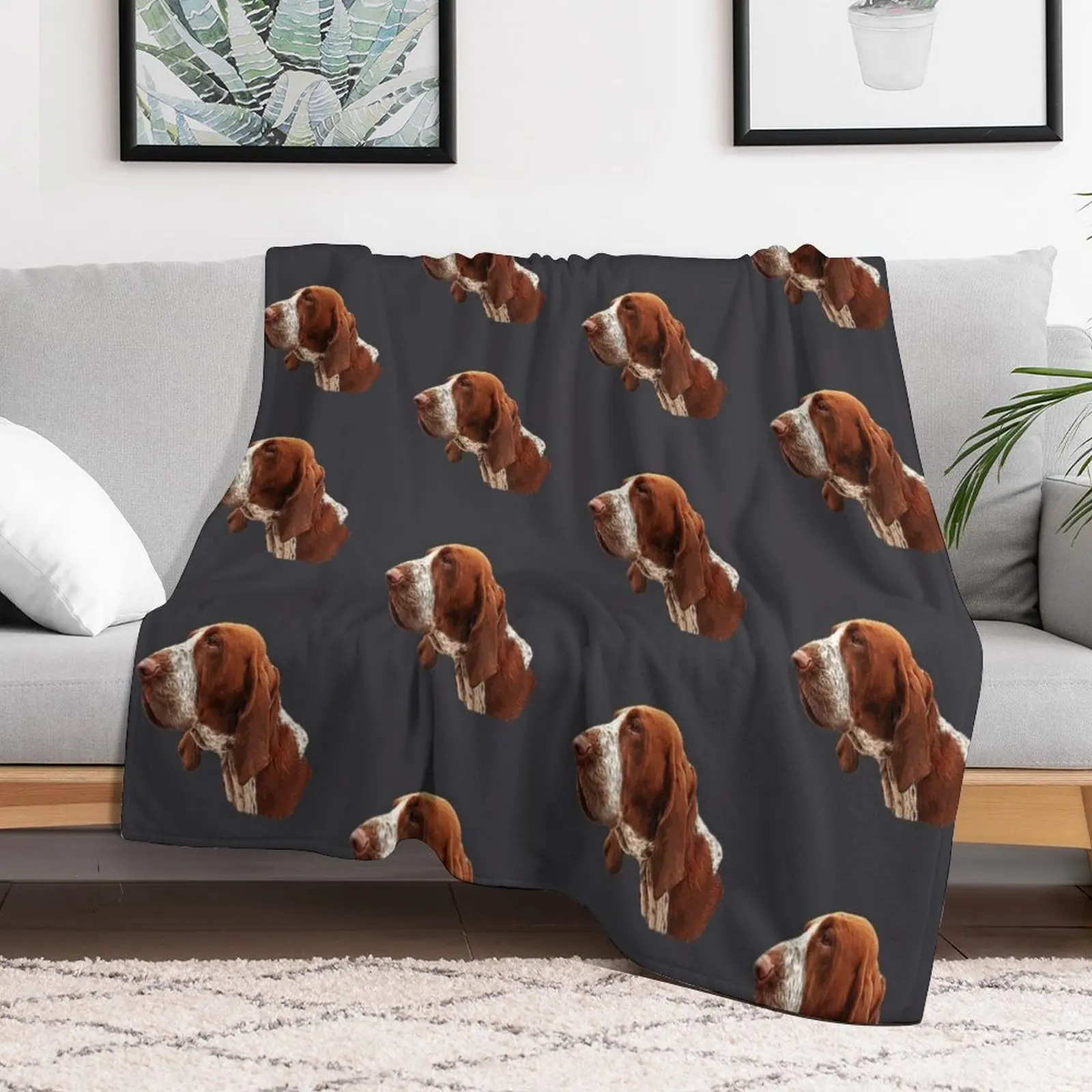 Chestnut Bracco Italiano Throw Blanket warm winter Designers Blankets Loose Soft Big Decoratives Blankets
Chestnut Bracco Italiano Throw Blanket warm winter Designers Blankets Loose Soft Big Decoratives Blankets
