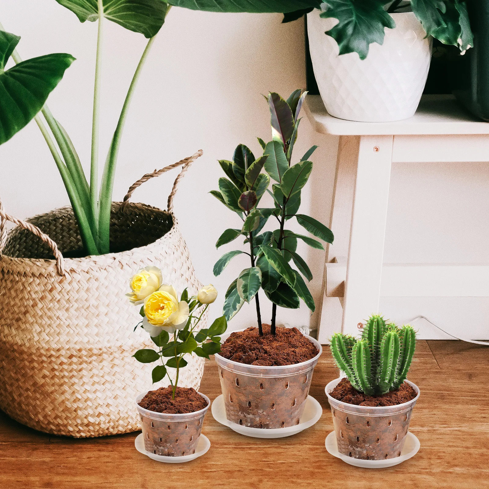 3Pcs Clear Plastic Orchid Pots with Drainage Holes and Saucers Planters Nursery Gardening Flowerpots for Root Health
3Pcs Clear Plastic Orchid Pots with Drainage Holes and Saucers Planters Nursery Gardening Flowerpots for Root Health