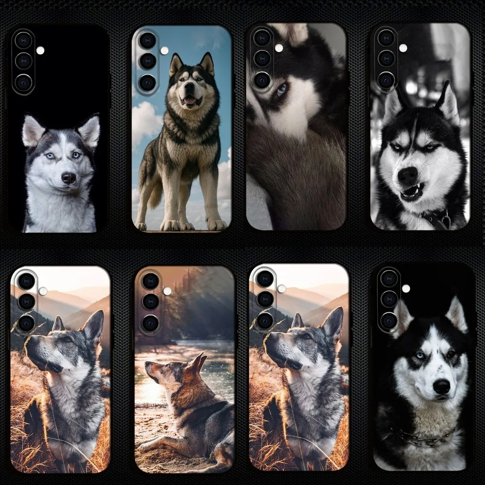 Cute Siberian Husky Dog Phone Case For Samsung Galaxy A73/A72/A71/A70/A53/A52/A51/Others Soft Black Shell
Cute Siberian Husky Dog Phone Case For Samsung Galaxy A73/A72/A71/A70/A53/A52/A51/Others Soft Black Shell