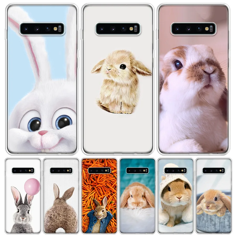 Cute White Baby Rabbits Soft Soft Phone Case for Samsung Galaxy A02S A12 A22 A32 A42 A52 A72 A51 A71 A50 A70 A41 A31 A21S A30S A
Cute White Baby Rabbits Soft Soft Phone Case for Samsung Galaxy A02S A12 A22 A32 A42 A52 A72 A51 A71 A50 A70 A41 A31 A21S A30S A