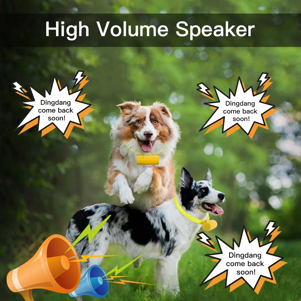 1000M Remote Control Hunting Dog Tracking Beepers Collars with 8 Beeper Sound Repellent Dog Training Collars for Dogs
1000M Remote Control Hunting Dog Tracking Beepers Collars with 8 Beeper Sound Repellent Dog Training Collars for Dogs