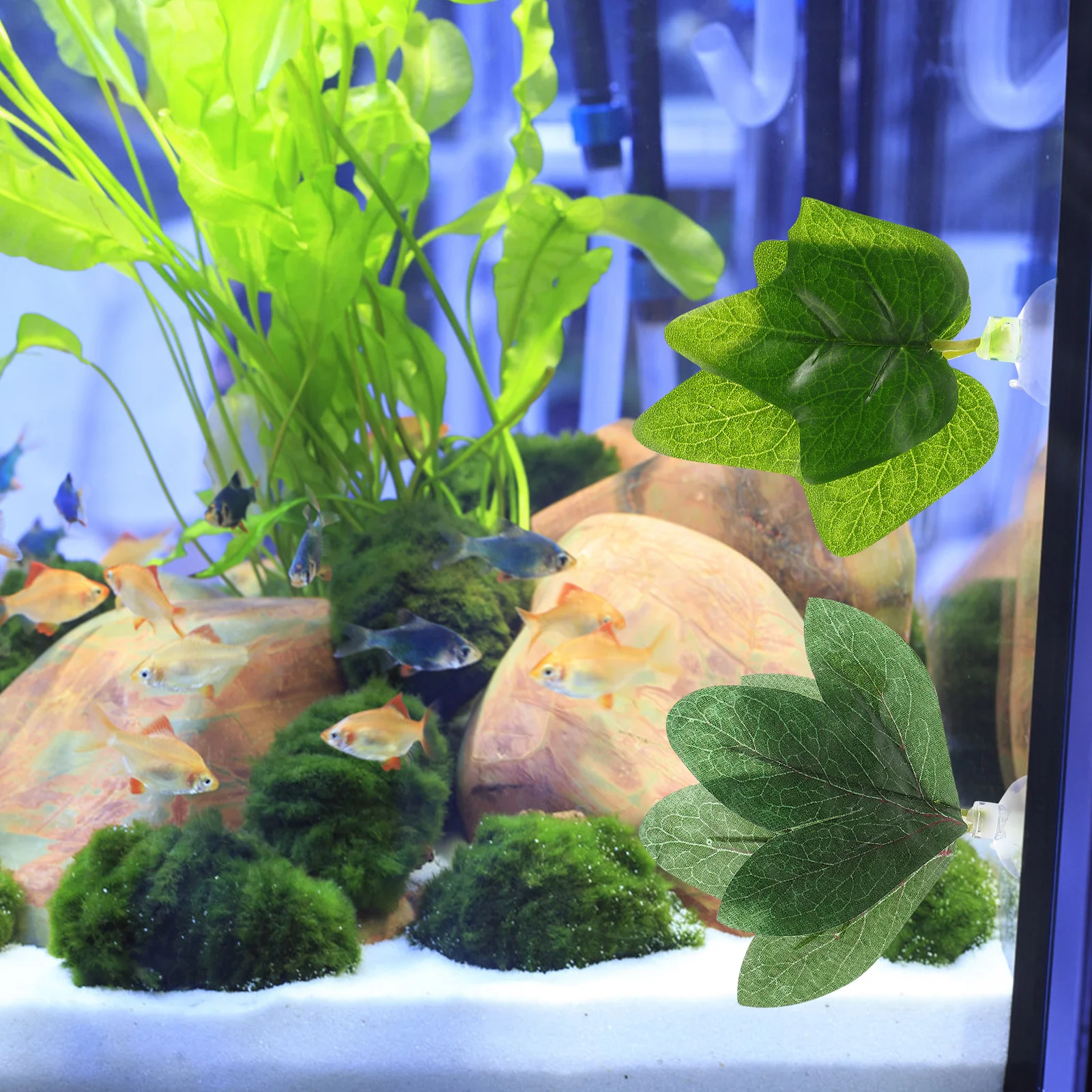 4Pcs Aquarium Plants Plastic Lifelike Ornament Easy to Clean Suction Cup Design Fish Tank Reptile Tank Decoration
4Pcs Aquarium Plants Plastic Lifelike Ornament Easy to Clean Suction Cup Design Fish Tank Reptile Tank Decoration