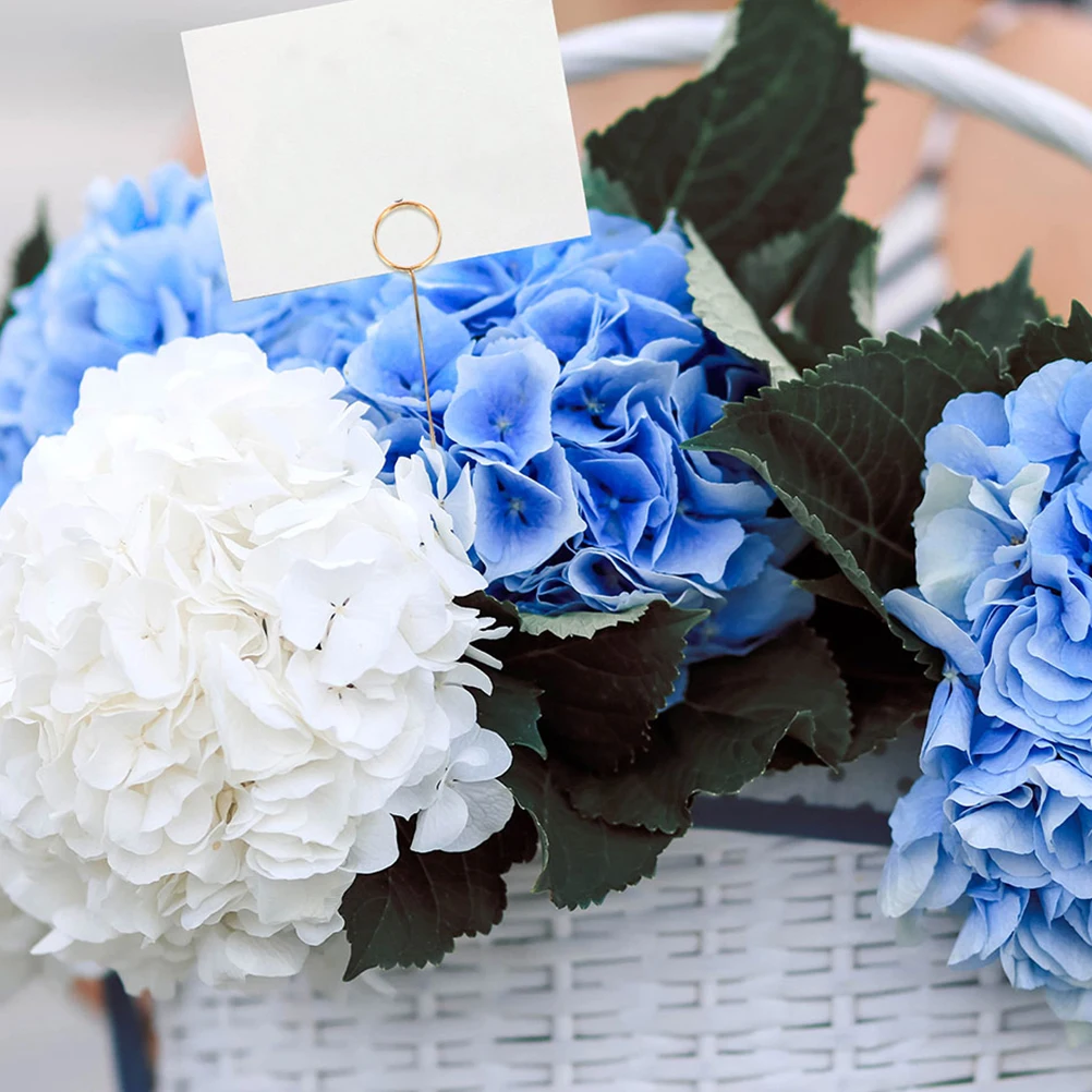 40pcs Metal Wire Flower Card Clips Picks Golden Note Holders Photo Memo Clamps Floral Place Cards Simulated Flowers Accessories
40pcs Metal Wire Flower Card Clips Picks Golden Note Holders Photo Memo Clamps Floral Place Cards Simulated Flowers Accessories