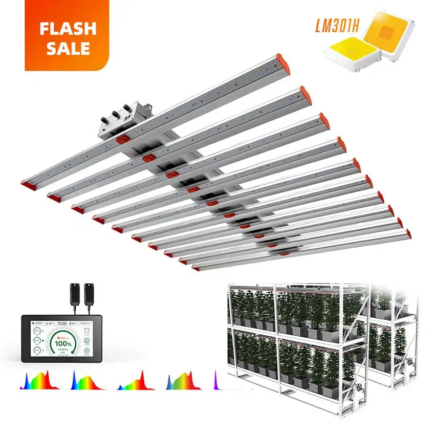 New Promotion Indoor Plant 1000W Grow Kits Tent Light Manufacturer From China
New Promotion Indoor Plant 1000W Grow Kits Tent Light Manufacturer From China