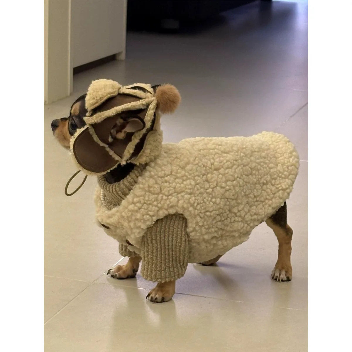 Winter pet hairless cat warm clothes, German cat and dog sweaters, base shirts with high collars, cat and dog pet clothes
Winter pet hairless cat warm clothes, German cat and dog sweaters, base shirts with high collars, cat and dog pet clothes