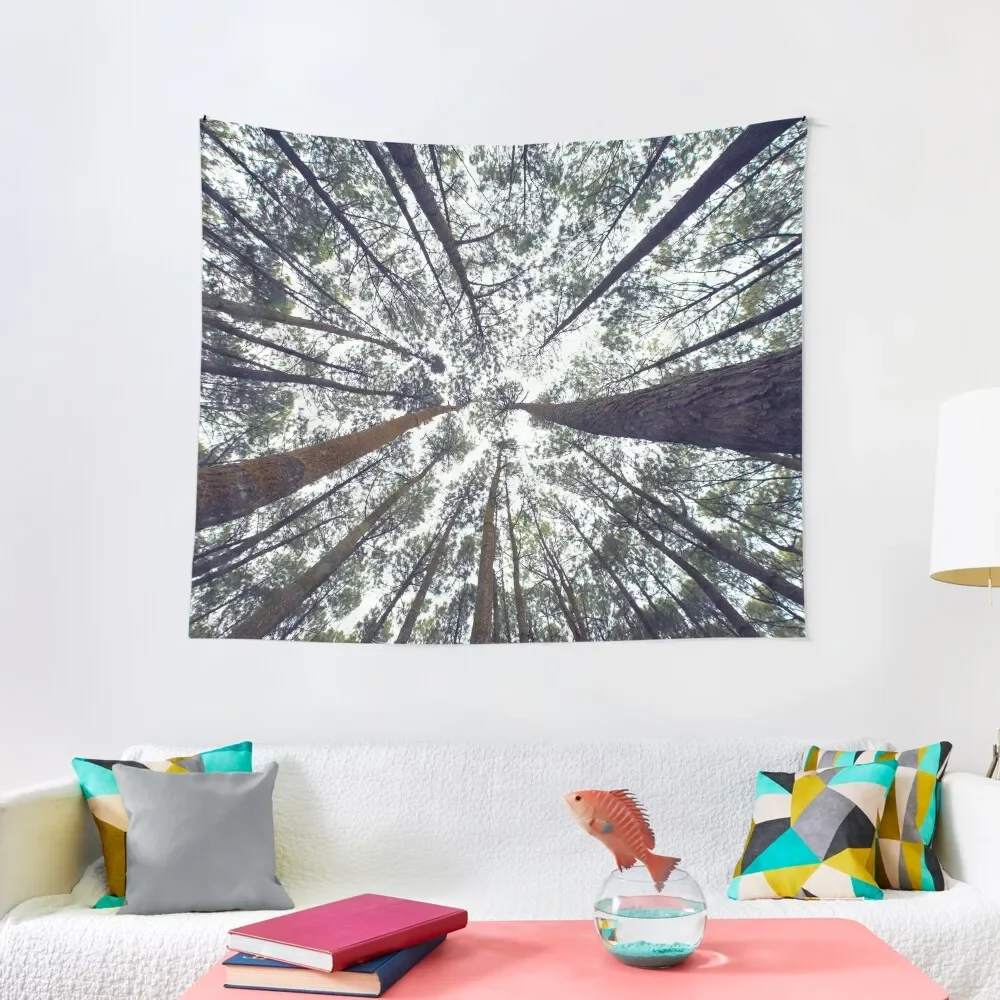 Light Through the Trees Tapestry Room Decor Korean Style Room Ornaments Decoration For Bedroom Wall Coverings Tapestry
Light Through the Trees Tapestry Room Decor Korean Style Room Ornaments Decoration For Bedroom Wall Coverings Tapestry