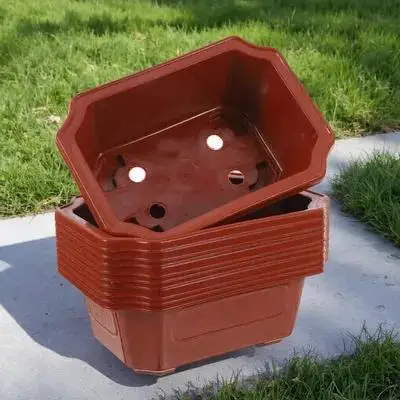 10 шт. практичные горшки для бонсай, прямоугольные цветочные горшки для кактуса, суккулентов, садовый цветочный горшок, цветочный горшок для бонсай, домашний цветочный горшок
10 шт. практичные горшки для бонсай, прямоугольные цветочные горшки для кактуса, суккулентов, садовый цветочный горшок, цветочный горшок для бонсай, домашний цветочный горшок