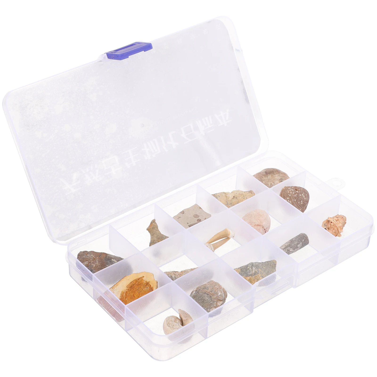 1 set Specimen Decorations Teaching Materials Real Model Desktop Ornament Plastic Box Collection Study Gift Ideas
1 set Specimen Decorations Teaching Materials Real Model Desktop Ornament Plastic Box Collection Study Gift Ideas