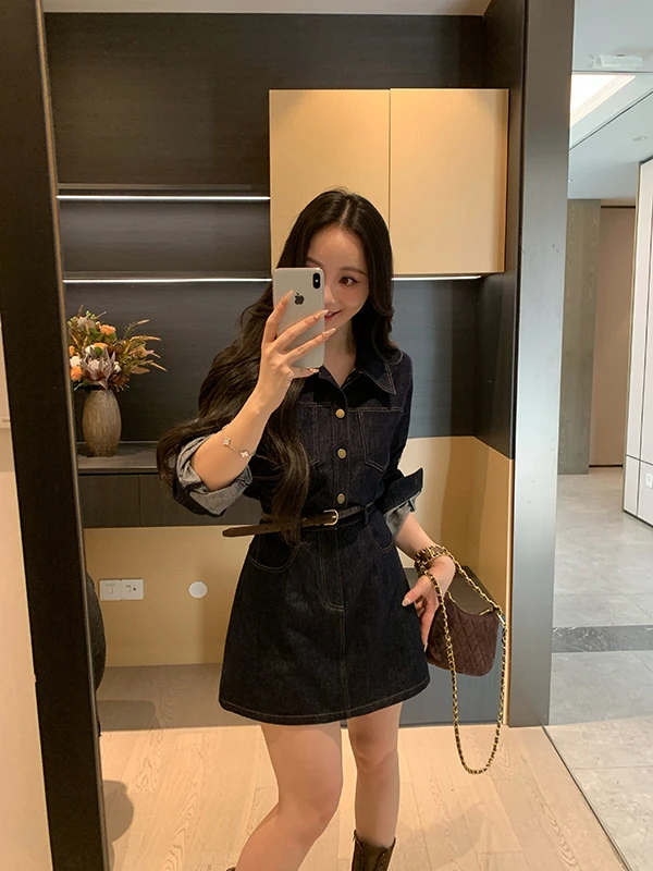 Spring Vintage Original Jeans Color Slimming High Waist Denim Dress Elegant A-Line Skirt Long Sleeve Collar Commute Style
Spring Vintage Original Jeans Color Slimming High Waist Denim Dress Elegant A-Line Skirt Long Sleeve Collar Commute Style
