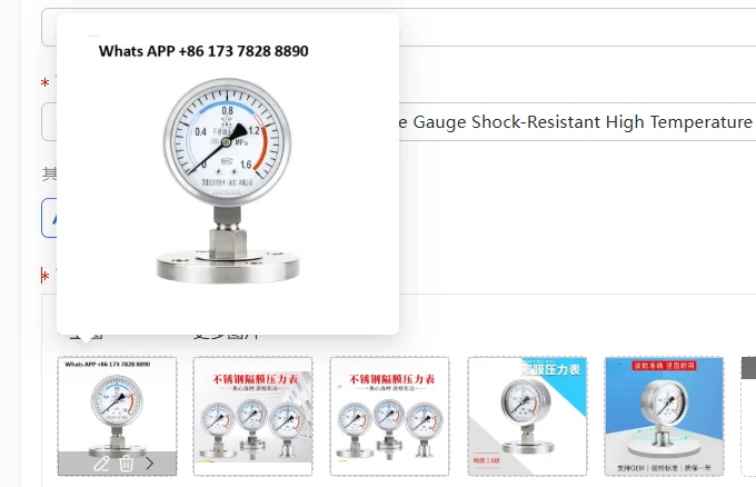 Sanitary Y100B Diaphragm Pressure Gauge Shock-Resistant High Temperature Vacuum Gauge 316L Material for Industrial Use
Sanitary Y100B Diaphragm Pressure Gauge Shock-Resistant High Temperature Vacuum Gauge 316L Material for Industrial Use