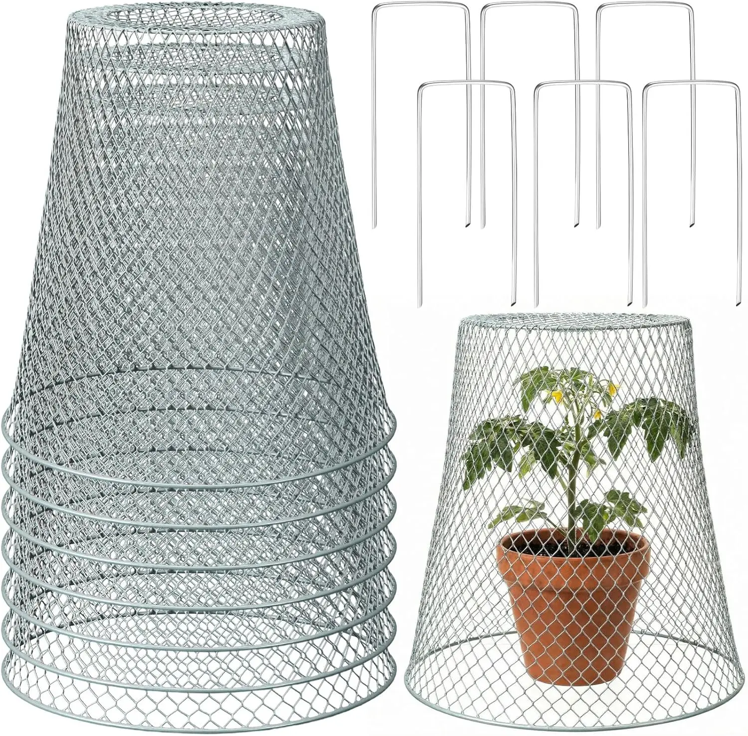 6 Pcs Large Plant Wire Cloche 11 x 12 Inch Metal Garden Protector with Stakes for Animals (Silver)
6 Pcs Large Plant Wire Cloche 11 x 12 Inch Metal Garden Protector with Stakes for Animals (Silver)