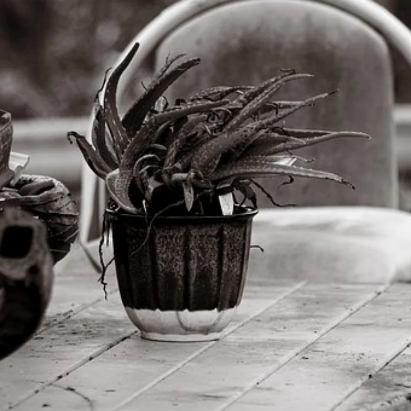 Латунное покрытие, передняя рулевая чашка, поворотный кулак для осевого SCX10 PRO 1/10, радиоуправляемый гусеничный автомобиль, обновленные детали, аксессуары
Латунное покрытие, передняя рулевая чашка, поворотный кулак для осевого SCX10 PRO 1/10, радиоуправляемый гусеничный автомобиль, обновленные детали, аксессуары