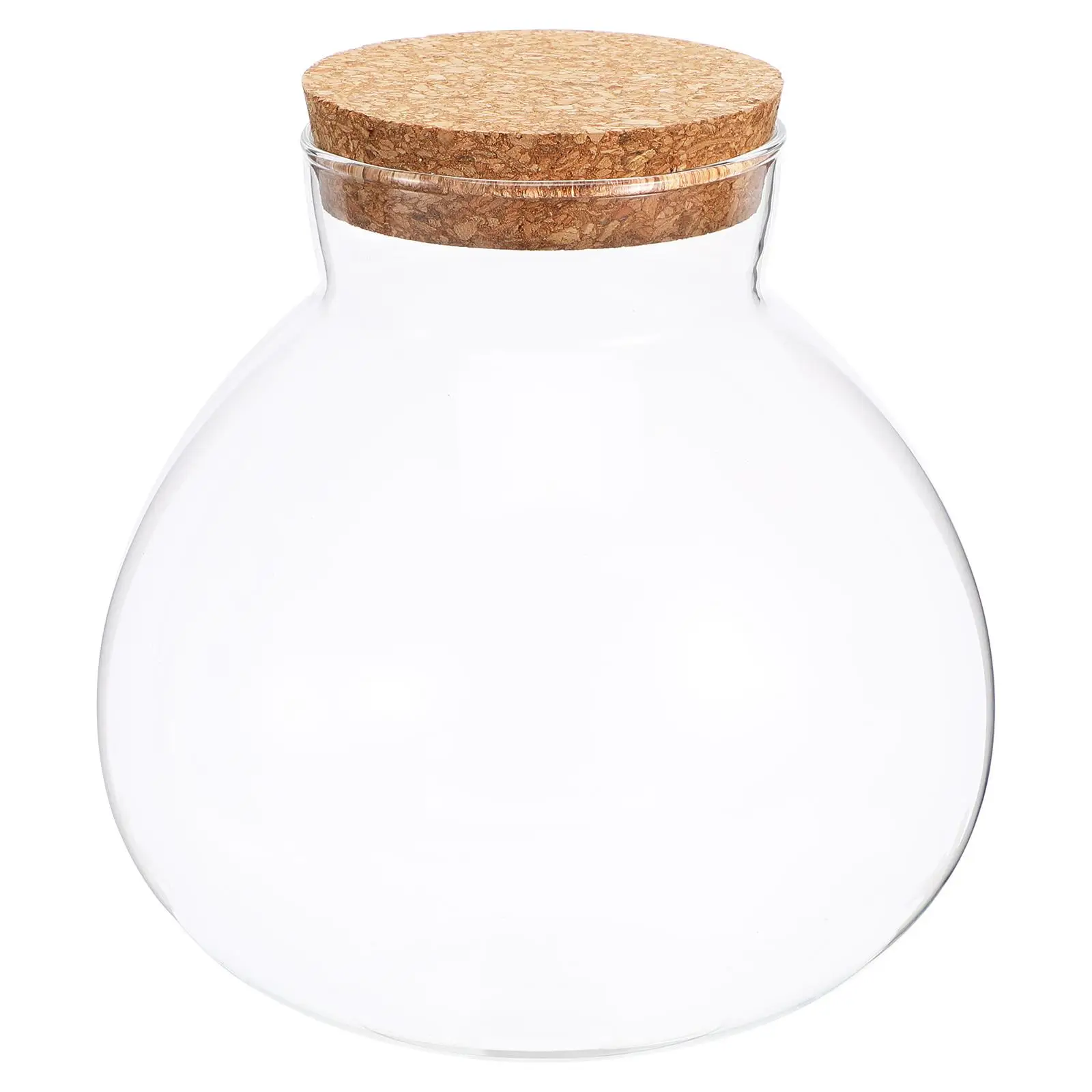 Eco Bottle Glass Terrarium Smooth Surface Moss Crafts Home Decor Micro Landscape Plant Jar Empty Bottle Transparent DIY Flower
Eco Bottle Glass Terrarium Smooth Surface Moss Crafts Home Decor Micro Landscape Plant Jar Empty Bottle Transparent DIY Flower