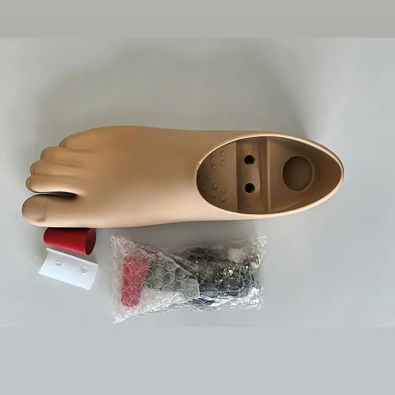 Double-Hole Mobile Ankle Prosthesis Foot with Dual-Axis Polyurethane Adapter Size Range 22-28cm for Mobility And Comfort
Double-Hole Mobile Ankle Prosthesis Foot with Dual-Axis Polyurethane Adapter Size Range 22-28cm for Mobility And Comfort