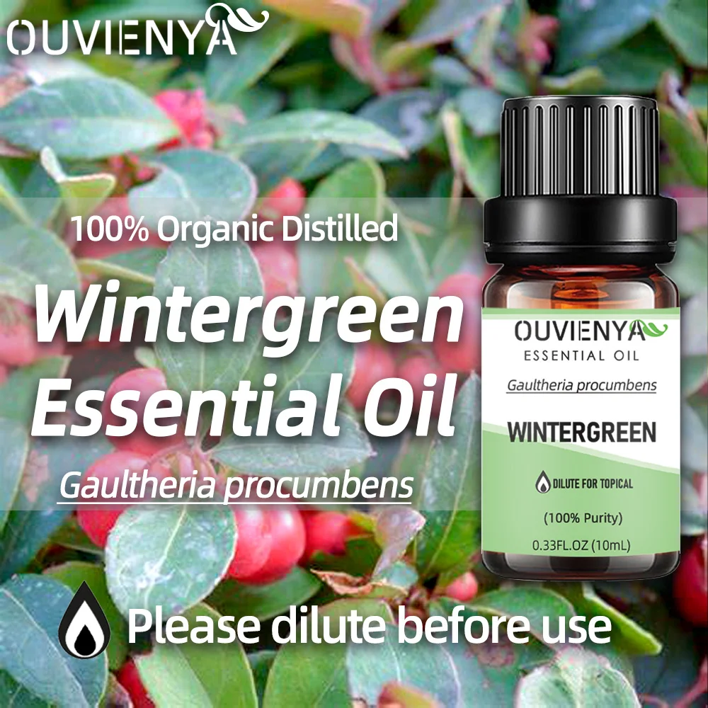 OUVIENYA Natural 100% organic Wintergreen essential oil distillation from Gaultheria procumbens as dilute for skin body care
OUVIENYA Natural 100% organic Wintergreen essential oil distillation from Gaultheria procumbens as dilute for skin body care
