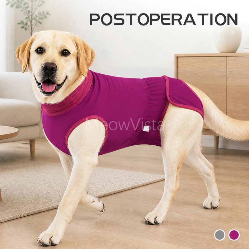 Soft Breathable Dog Postoperative Recovery Suit Comfort Anti-Licking Wound Protector Dog Bodysuit for Spay Neuter Home Wear
Soft Breathable Dog Postoperative Recovery Suit Comfort Anti-Licking Wound Protector Dog Bodysuit for Spay Neuter Home Wear
