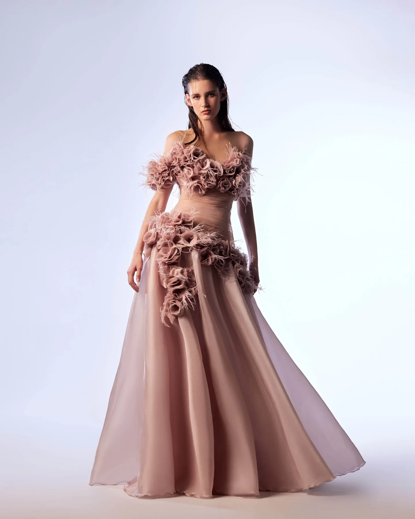 Customized Graceful Organza A-Line Off the Shoulder Feathers 3D Flowers Evening Dress Temperament Sweetheart Celebrity Gowns
Customized Graceful Organza A-Line Off the Shoulder Feathers 3D Flowers Evening Dress Temperament Sweetheart Celebrity Gowns