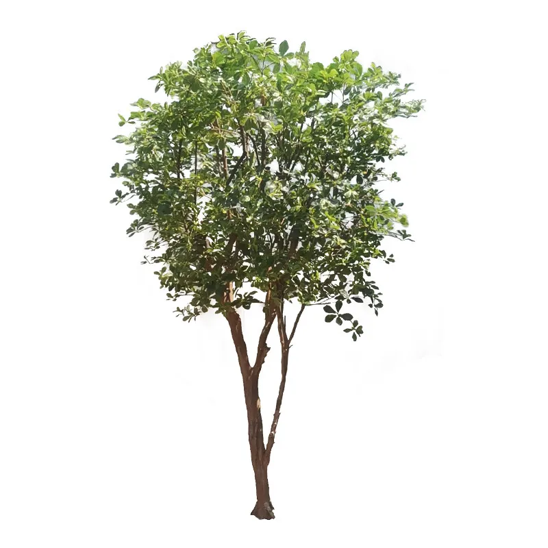 Green plants Large fake tree Simulation tree Landscape landscaping Floor decoration Indoor banyan tree Potted plants
Green plants Large fake tree Simulation tree Landscape landscaping Floor decoration Indoor banyan tree Potted plants